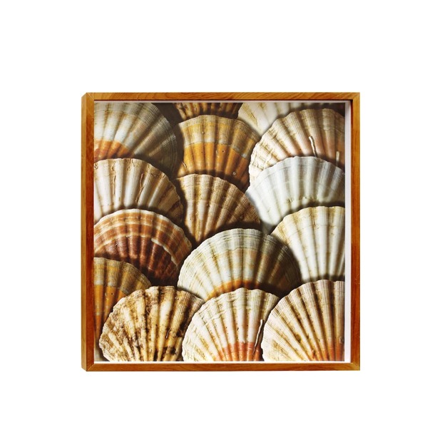 Quadro Conchas Bege 50x50cm Inspire