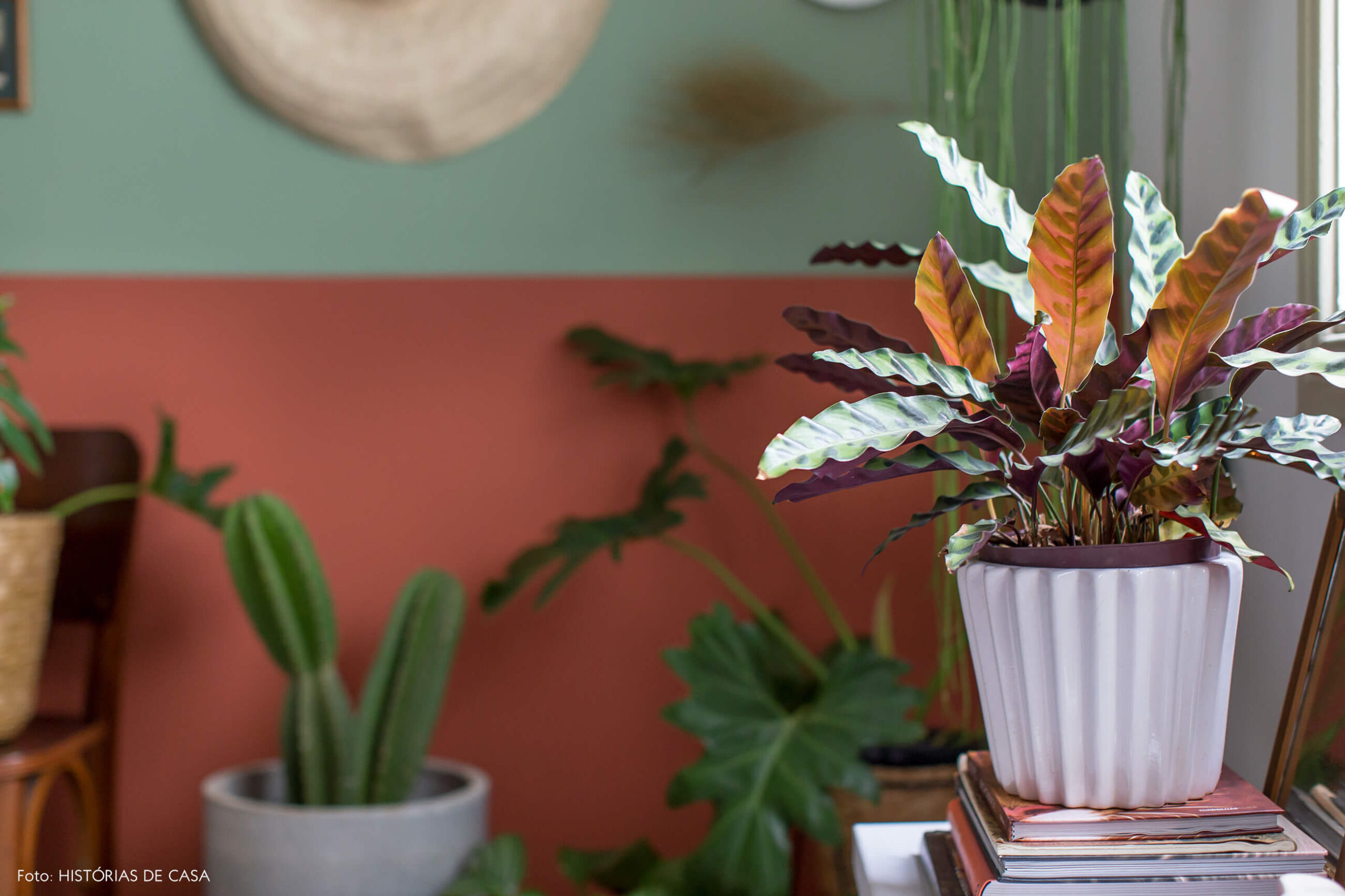 Antes e depois com paredes coloridas, pintura e papel de parede de floresta