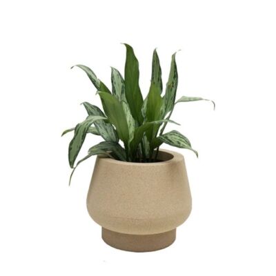 vaso ø30 bojudo rosenbaum