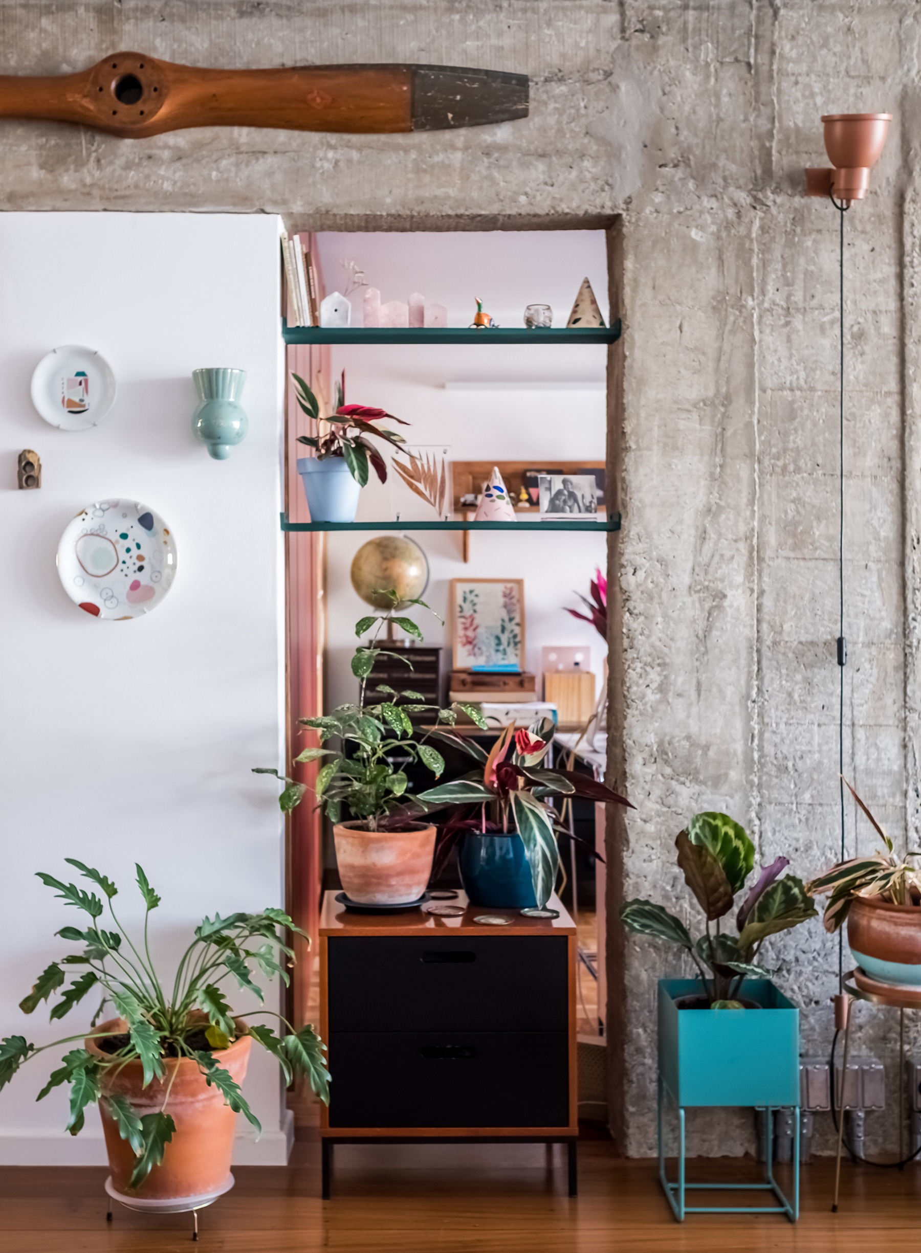 Apartamento reformado com concreto aparente e muitas plantas