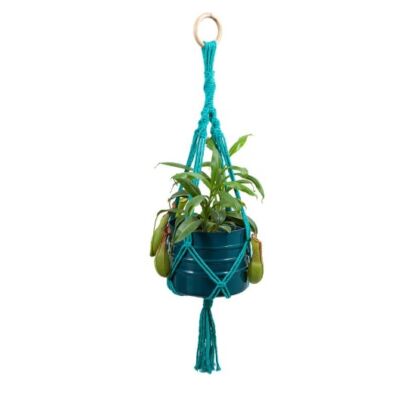 hanger de macramê de barbante verde