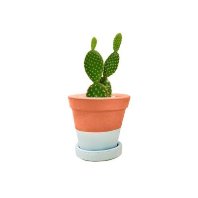 vaso ø10 barro funil + prato