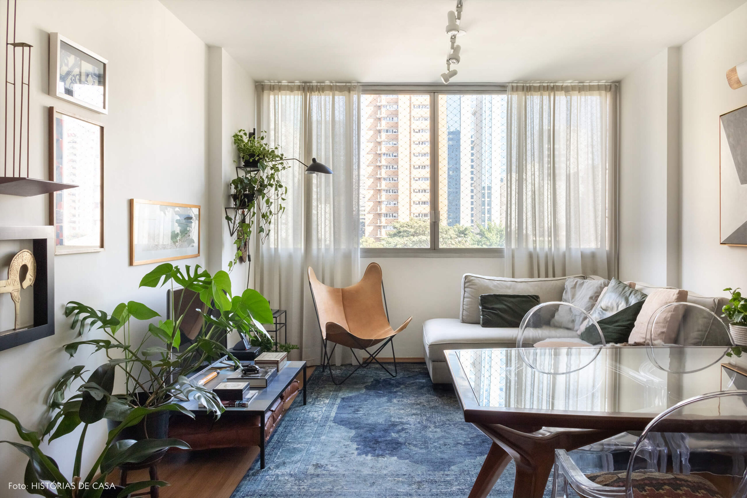 sala tapete azul plantas