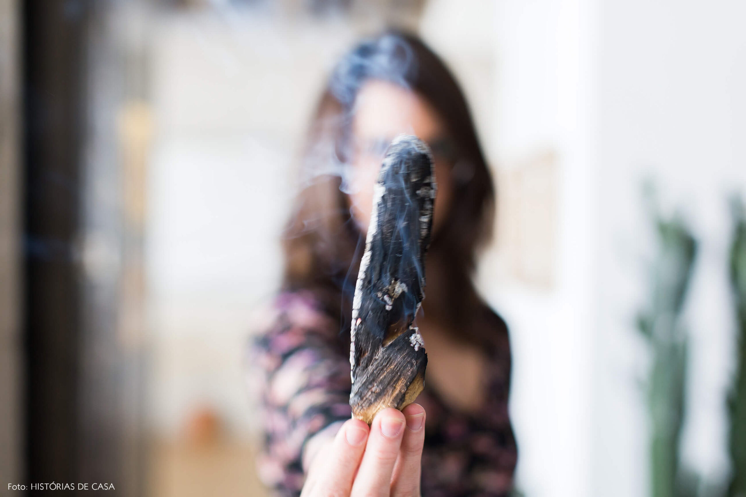 decoração copan retrato palo santo incenso