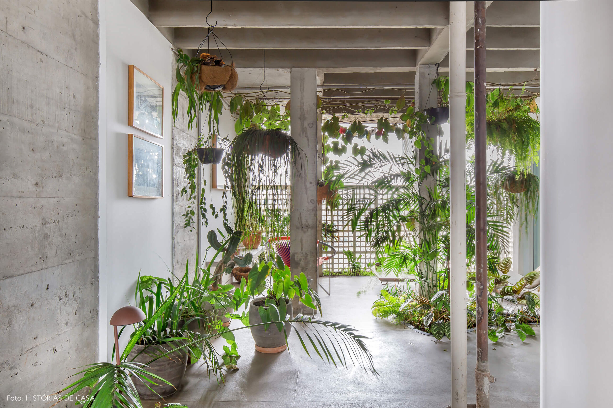 Ap decoração copan parede de concreto no jardim interno com plantas