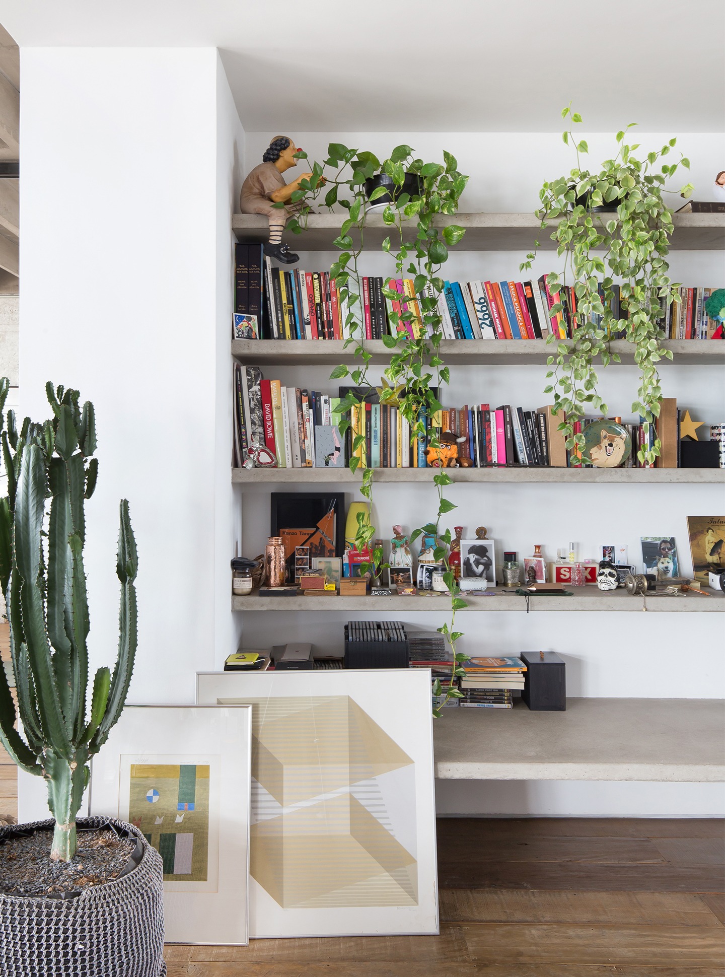 decoração copan estantes concreto e parede branca com plantas e livros