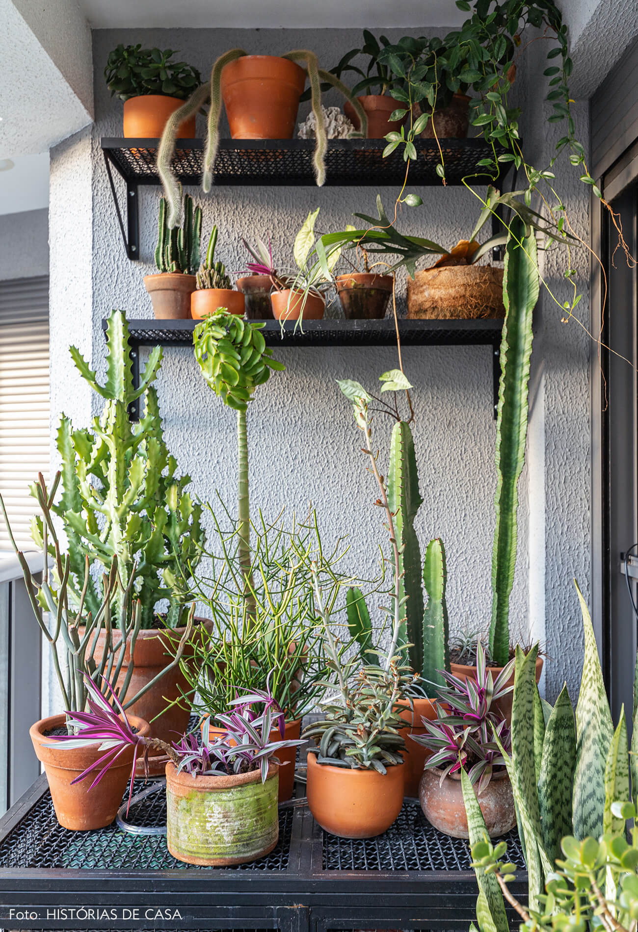 Detalhe na sacada de plantas