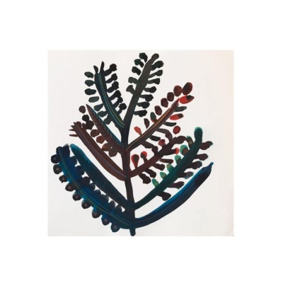 Planta // Sandra Jávera