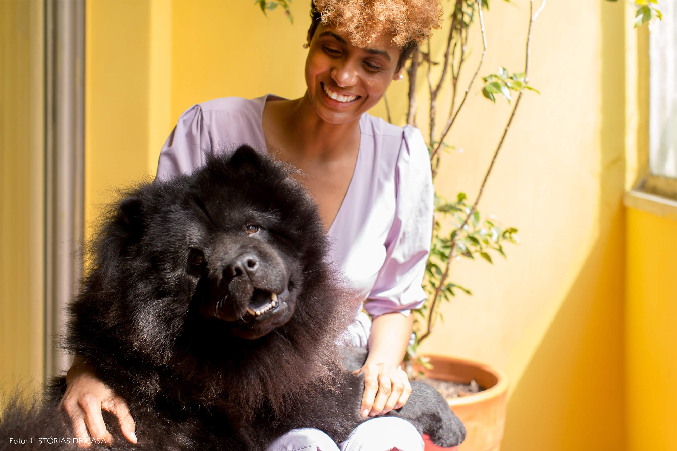 retrato-pet-cachorro-parede-amarela-varanda-planta