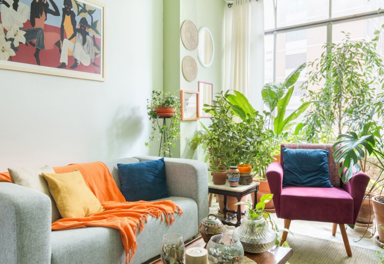 sala-plantas-parede-verde-poltrona-rosa-sofa-cinza-manta-laranja-almofadas-coloridas-quadro