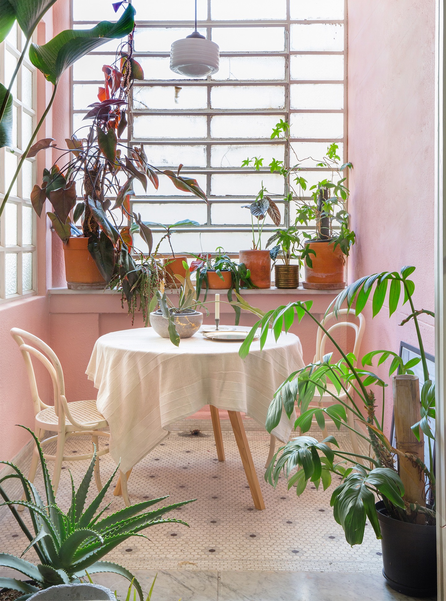 Parede rosa e mesa com toalha branca e plantas