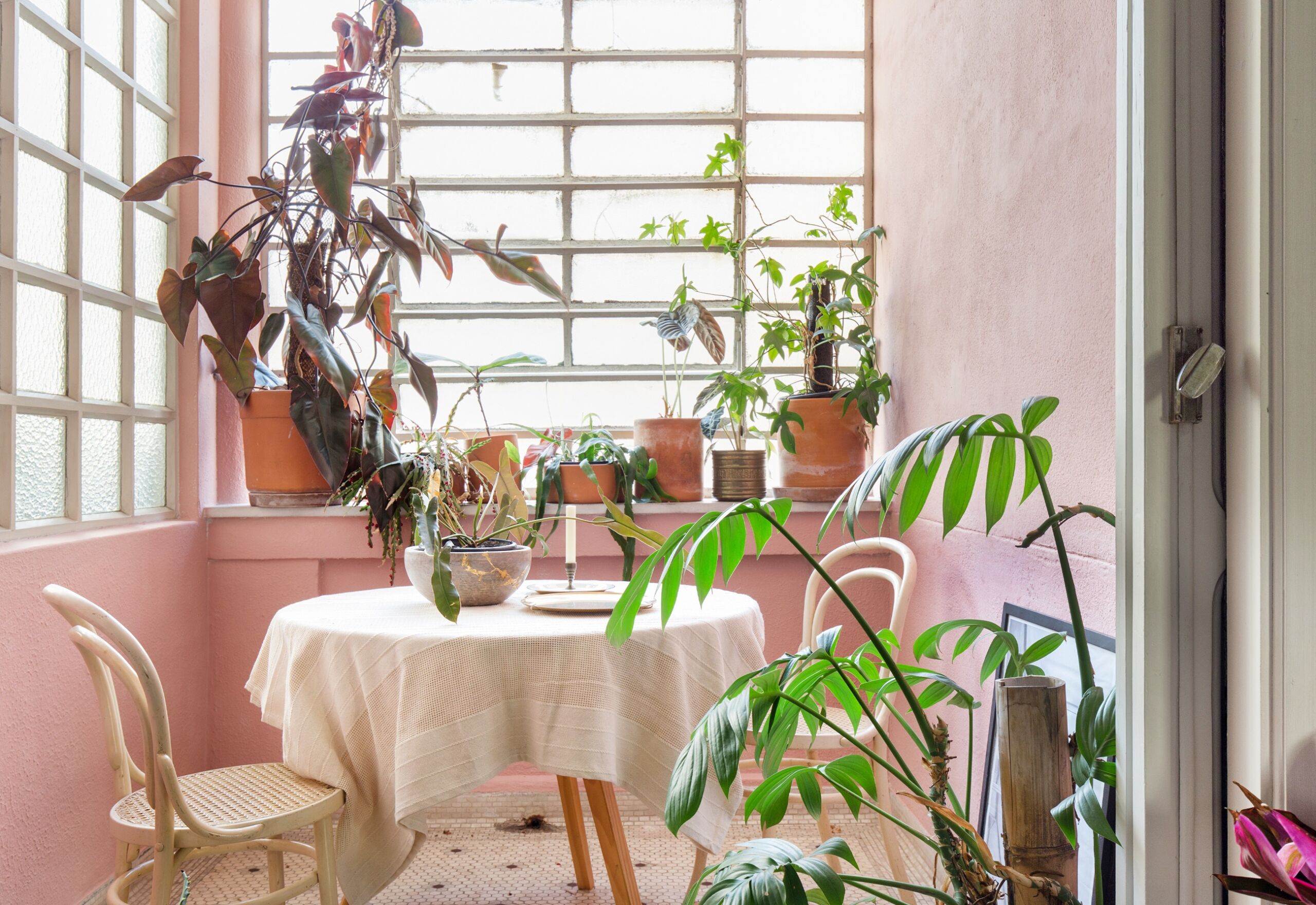 parede rosa com mesa com toalha branca e cadeiras de madeira branca e plantas
