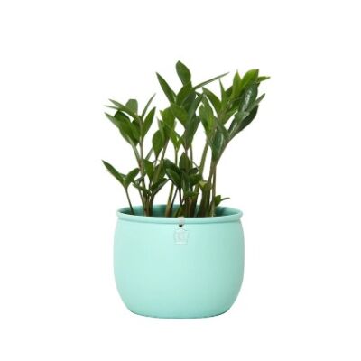 cachepô ø13 bojudo