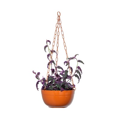 cachepô-cuia-ø25-liso-corrente-selvvva