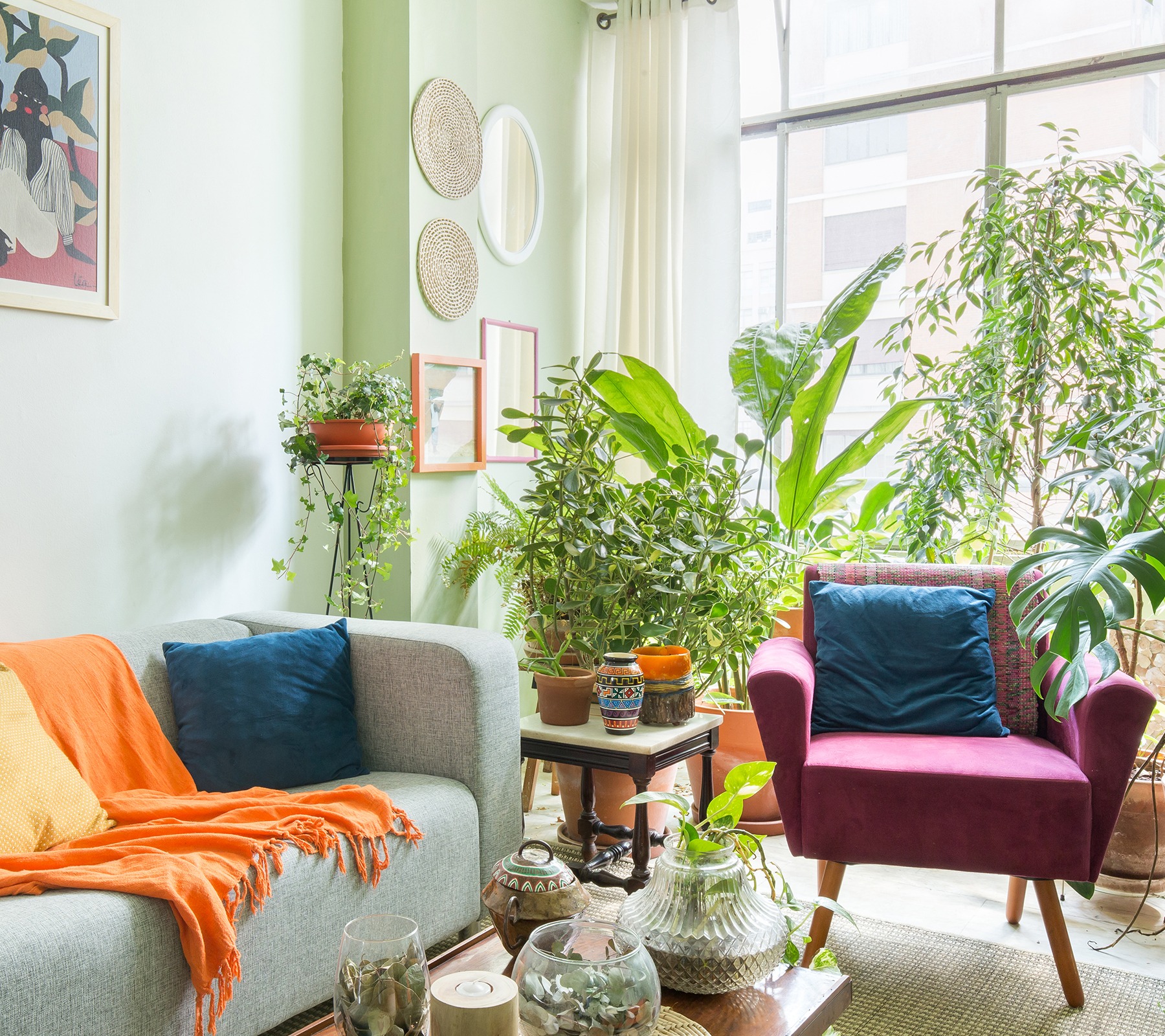 sala-poltrona-rosa-parede-verde-sofa-cinza-plantas