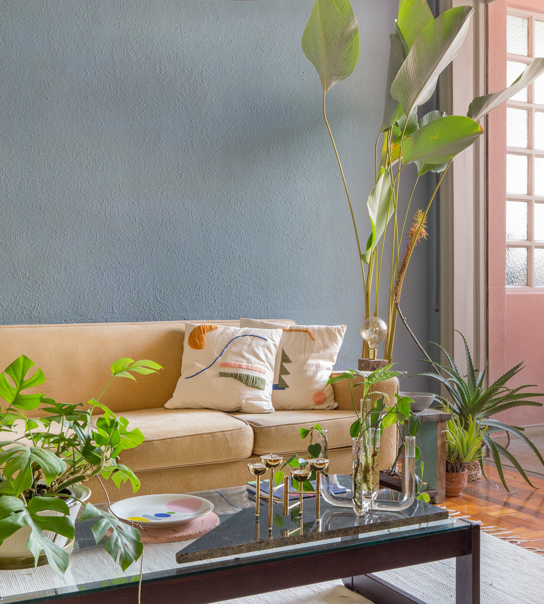 Sala com parede azul e rosa com mesa de centro de madeira escura e plantas
