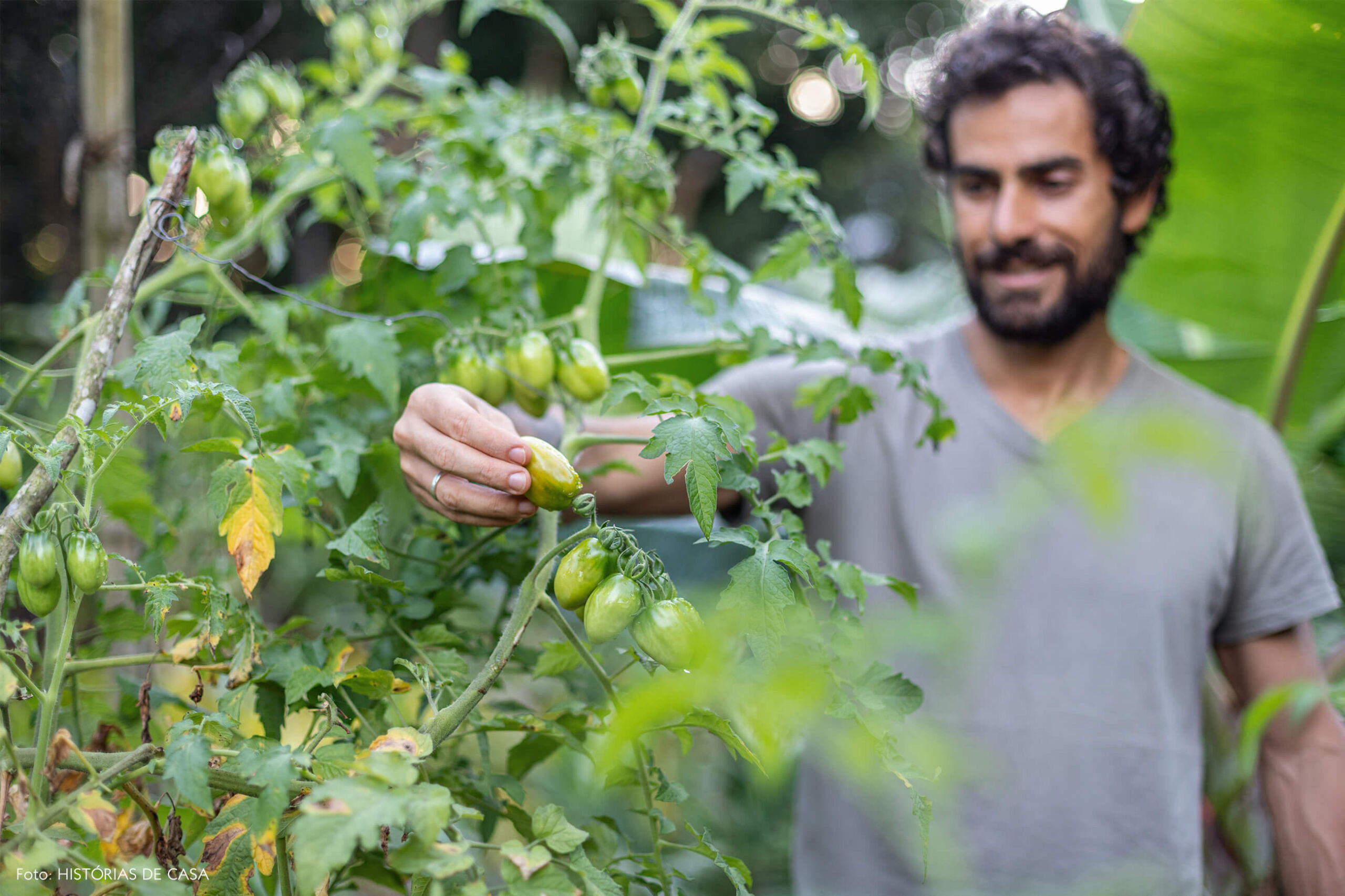 trancoso-decoracao-hotel-villase7e-75-retrato-fruta-planta-jardim
