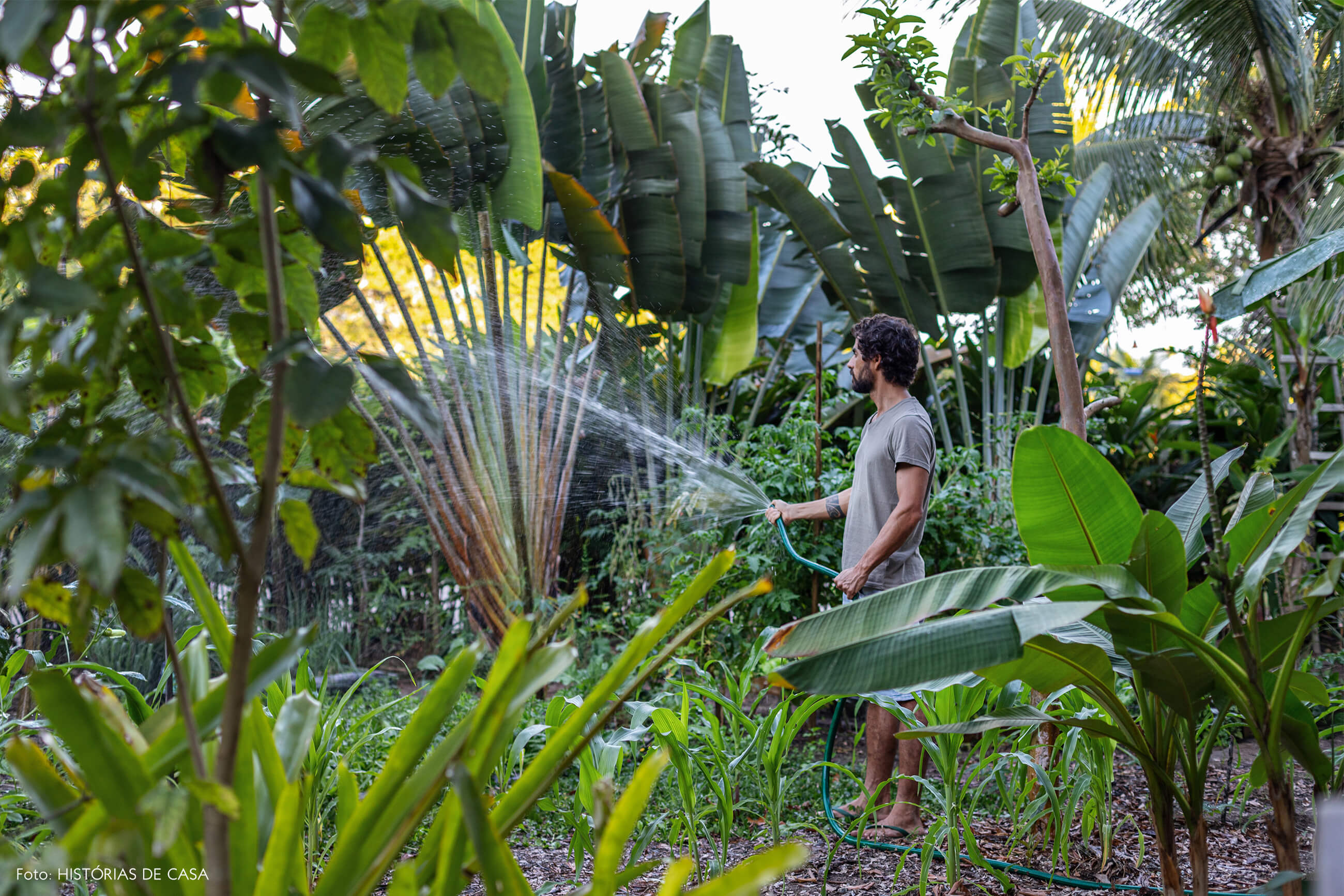 trancoso-decoracao-hotel-villase7e-76-retrato-jardim-plantas-mangueira