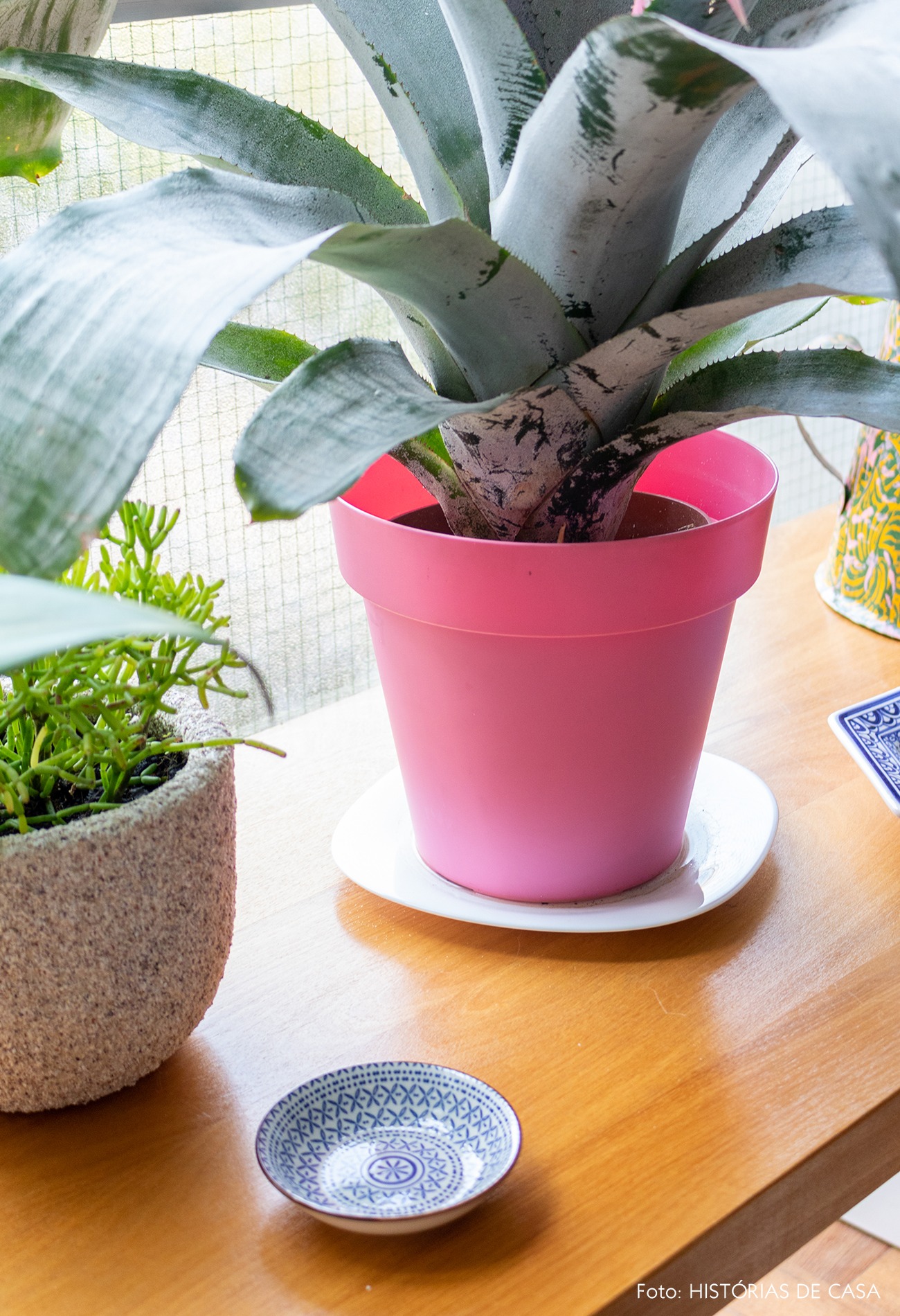 detalhe-mesa-madeira-vaso-rosa-plantas
