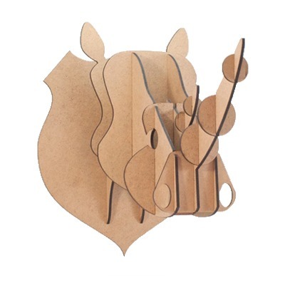 cabeza-rhino-cru-casaquetem