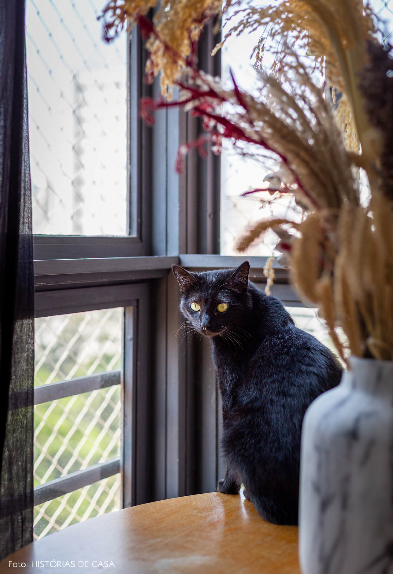 retrat-pet-gato-preto-na-mesa-circular-de-madeira