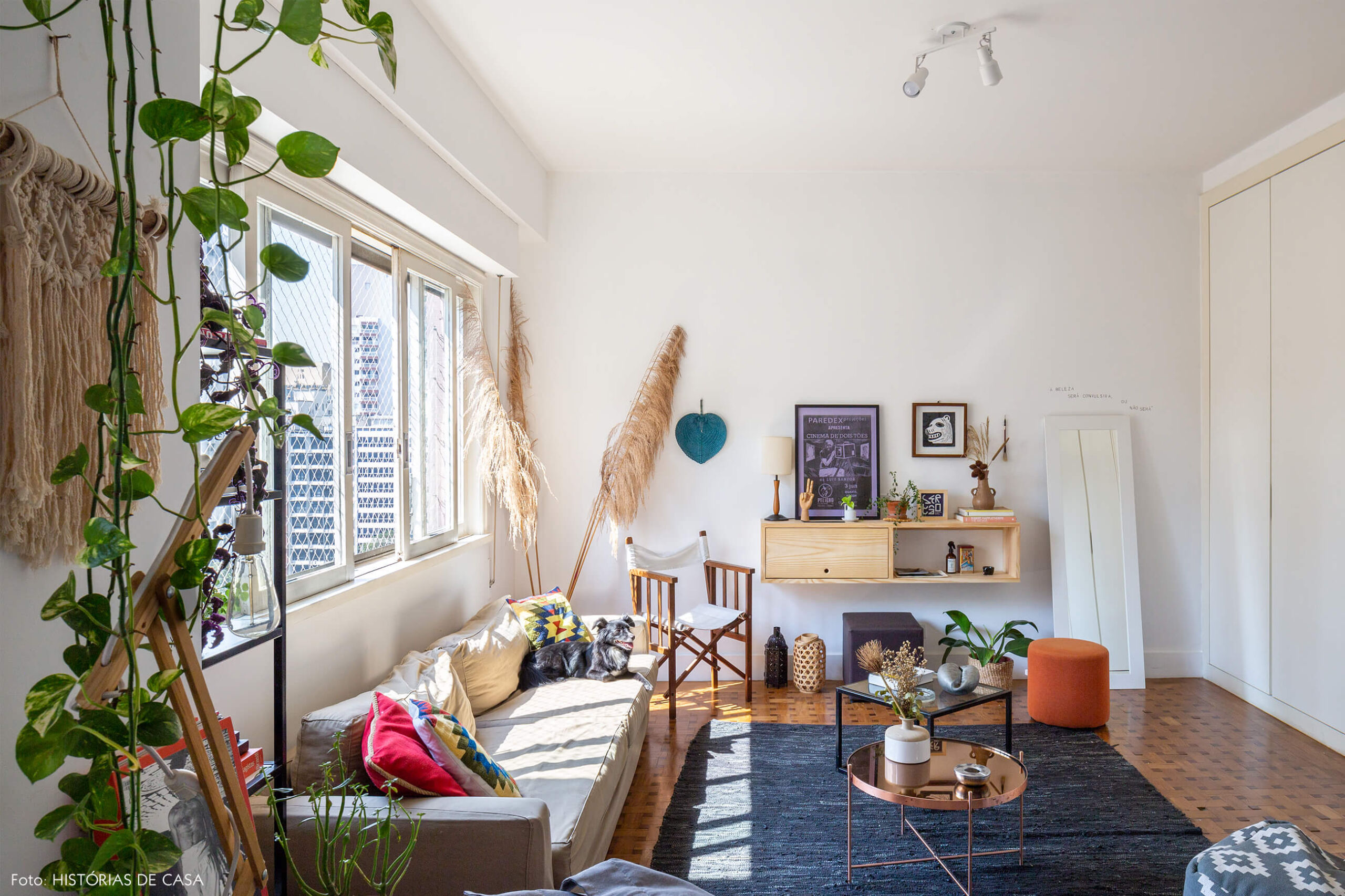 sala-com-tapete-azul-e-plantas