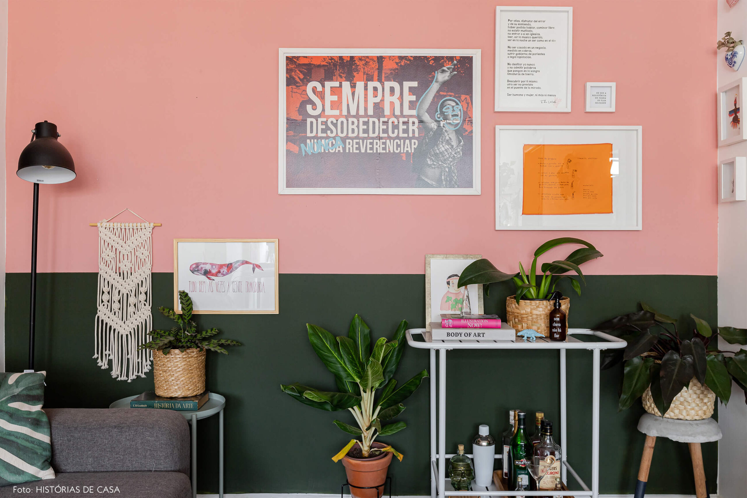 decoração-sala-com-parede-verde-e-rosa-e-plantas