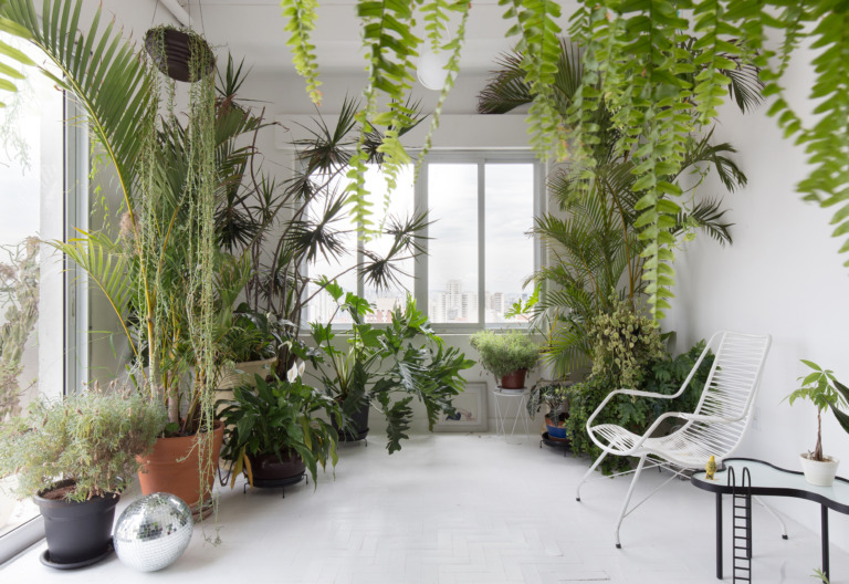 Apartamento de Felipe Morozini com muitas plantas