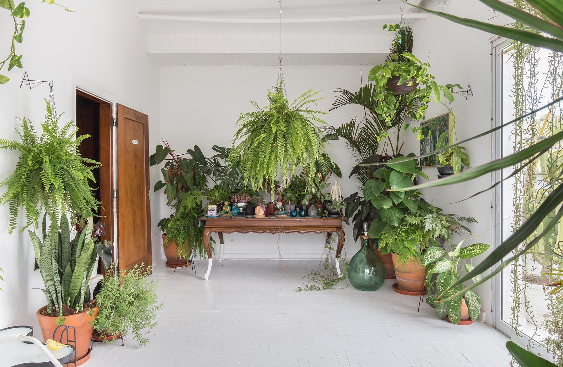 Apartamento com plantas e piso pintado de branco