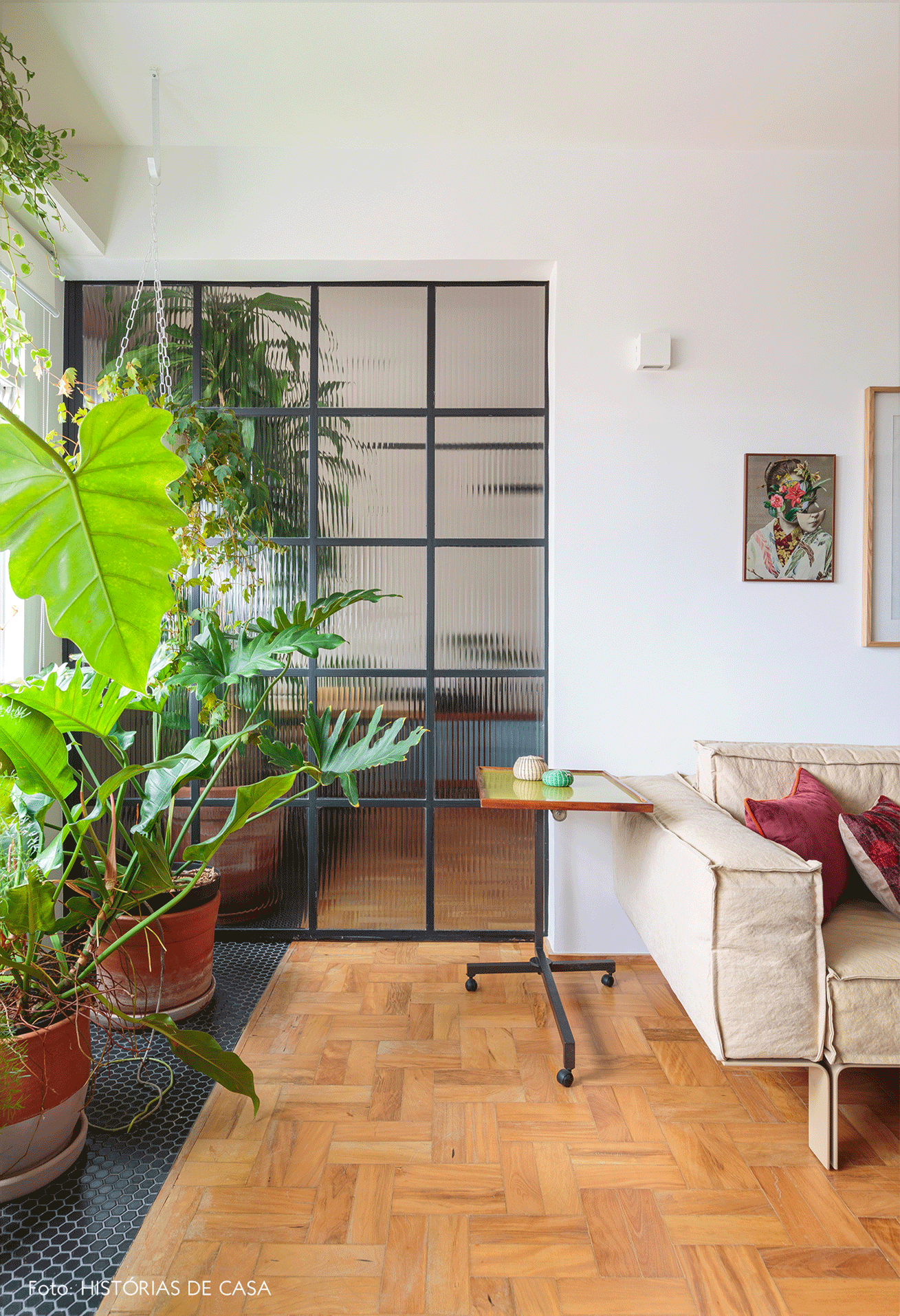 sala-plantas-fernanda-gif