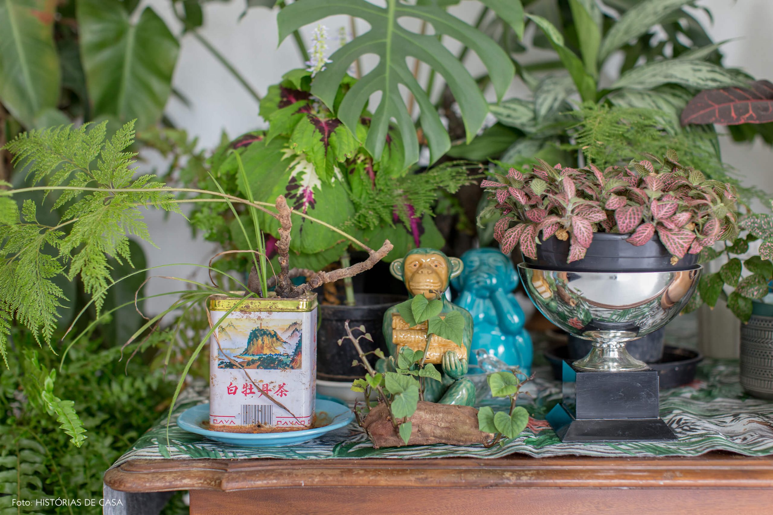 objetos-em-omoda-de-madeira-e-plantas