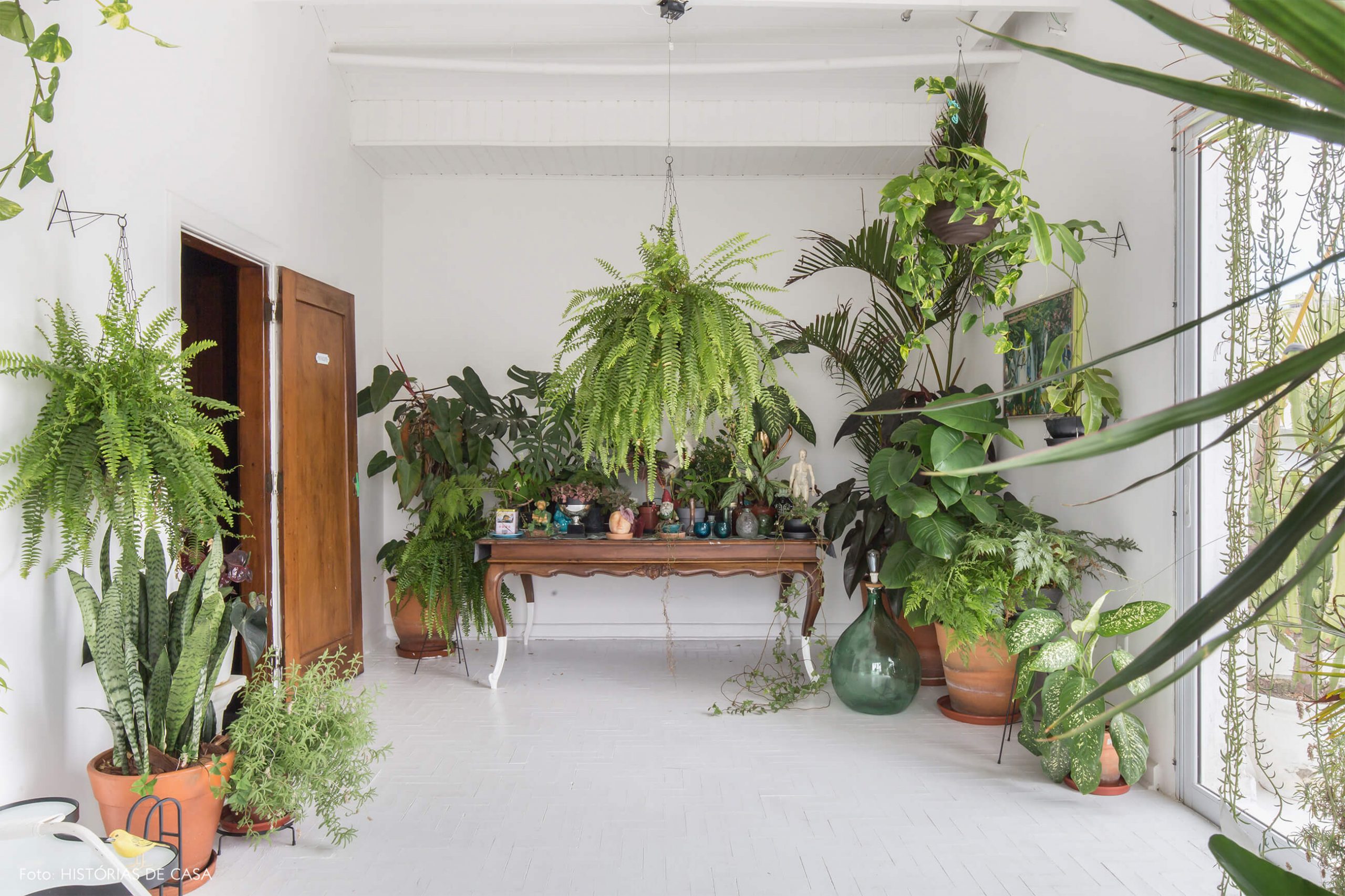 sala-com-plantas-e-mesa-de-madeira