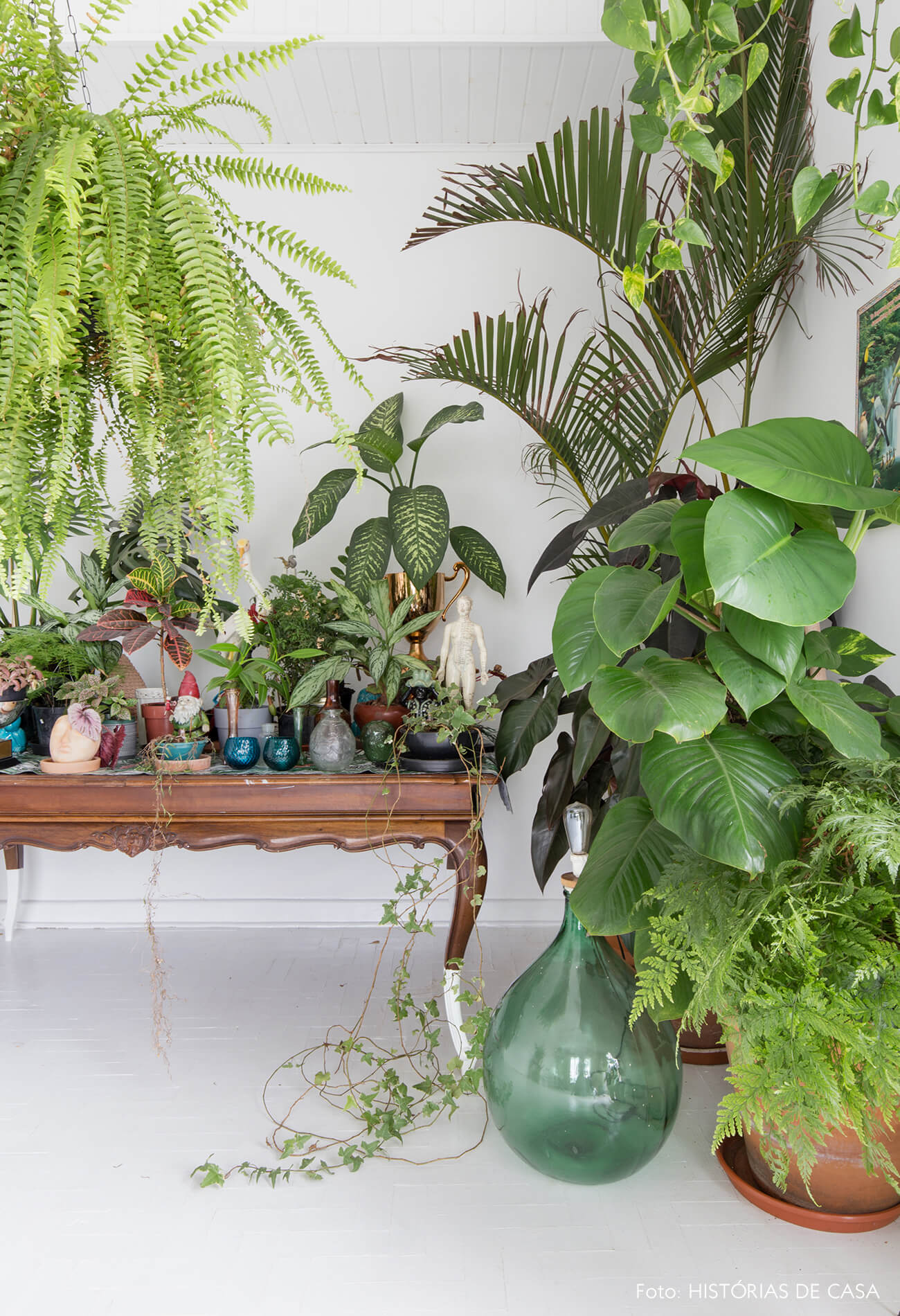 sala-plantas-e-mesa-madeira