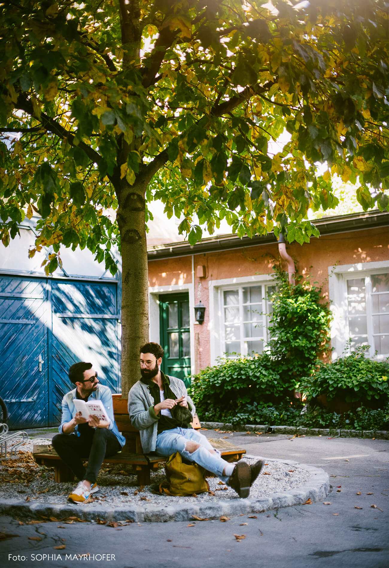 munich-retrato-em-arvore