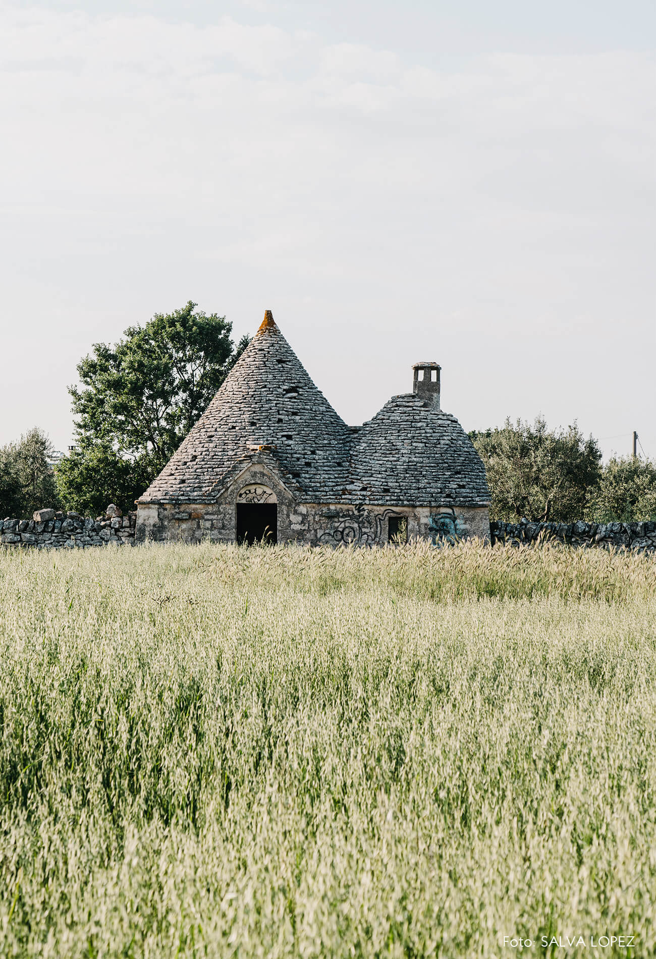 puglia-paisagem