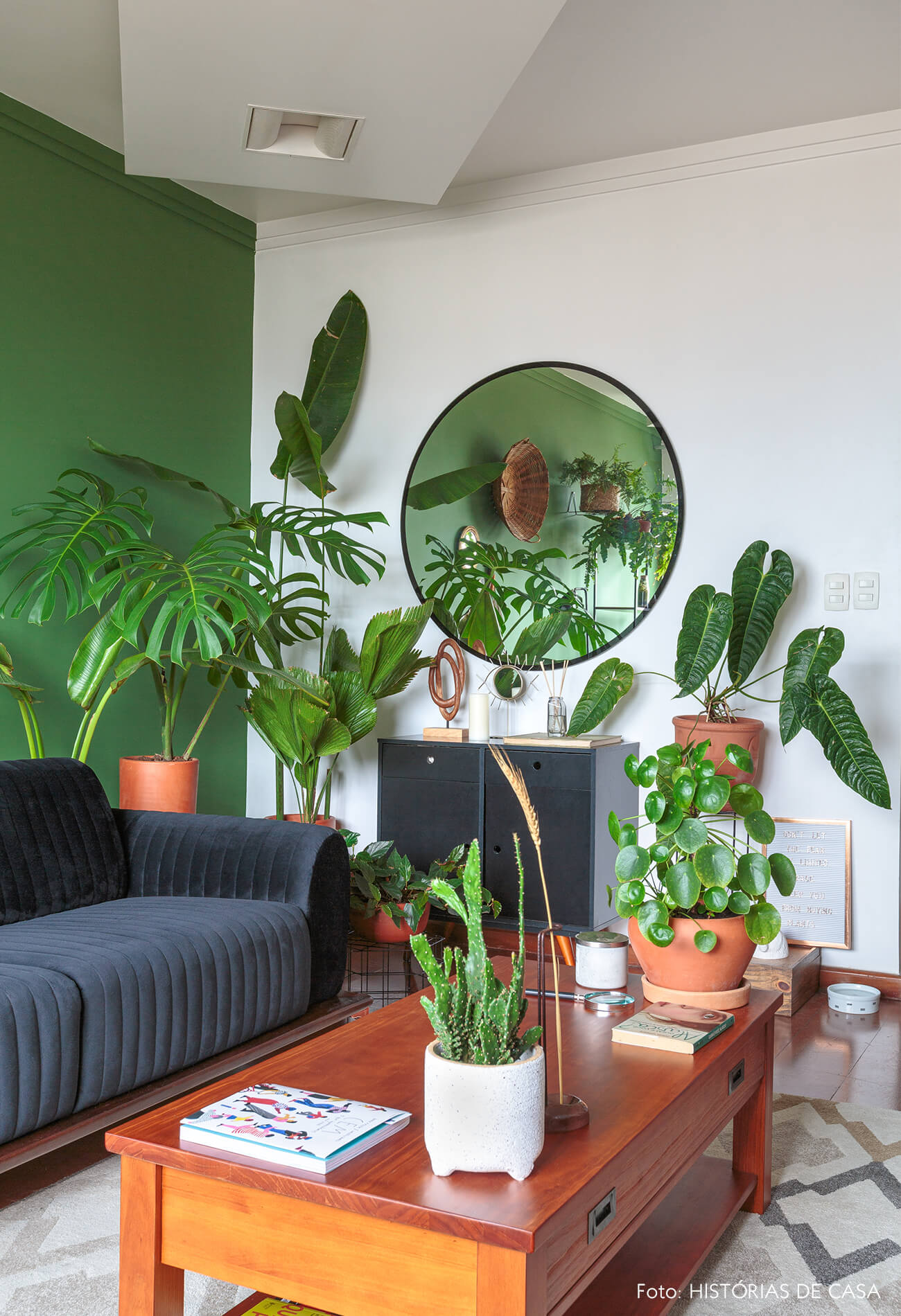 decoração sala com parede verde e muitas plantas