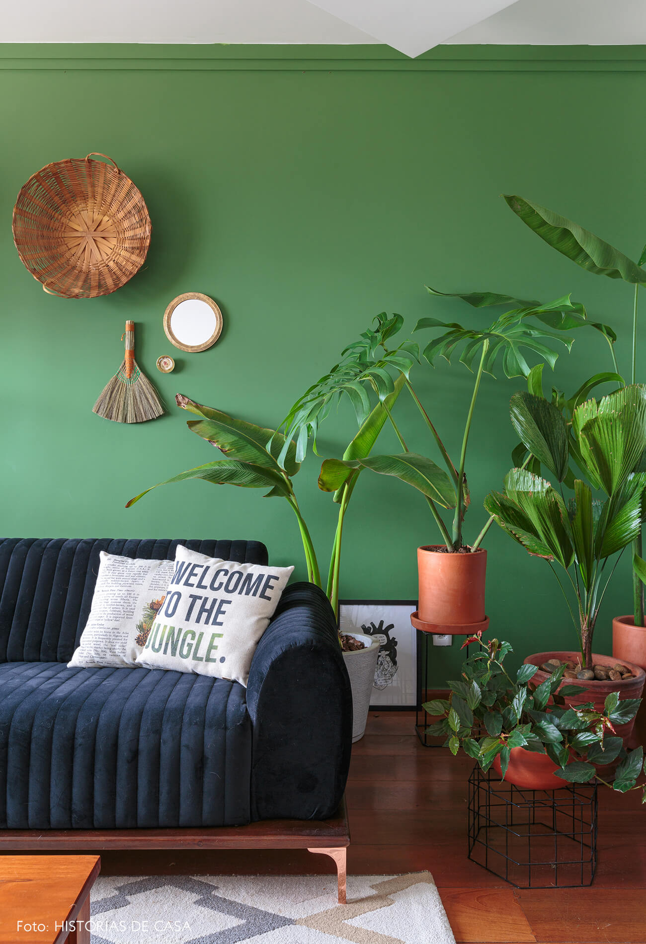 decoração sala com parede verde sofa preto e muitas plantas