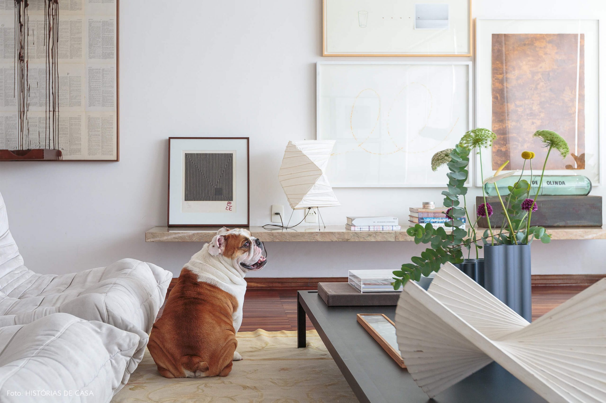 decoração cachorro na sala com obras de arte e luminarias de papel