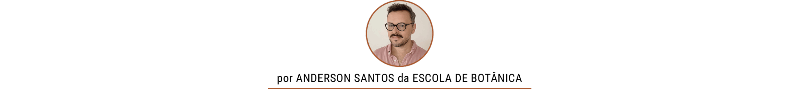 Como fazer mudas em casa por Anderson Santos da Escola de Botânica