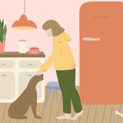 Pets em casa na quarentena, como lidar com os bichinhos na nova rotina