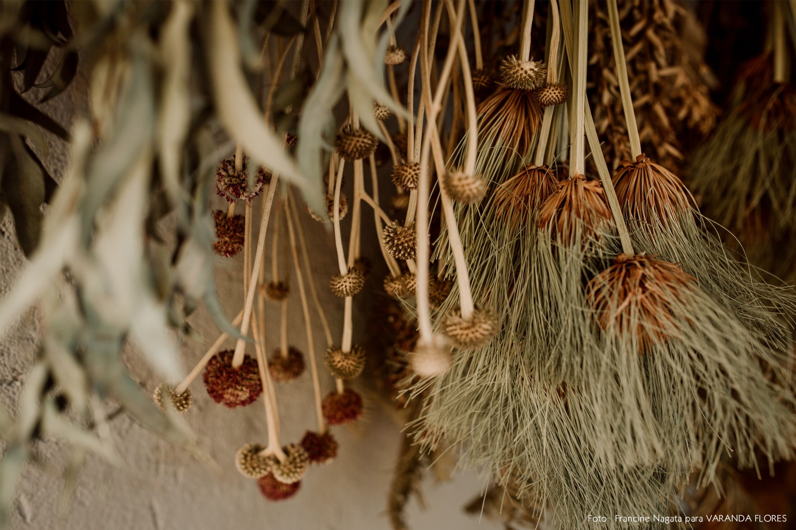 Flores decoração arranjos plantas penduradas parede