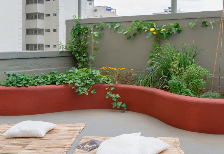 Como ter uma horta em casa, dicas de cultivo de ervas e temperos, plantas em casa