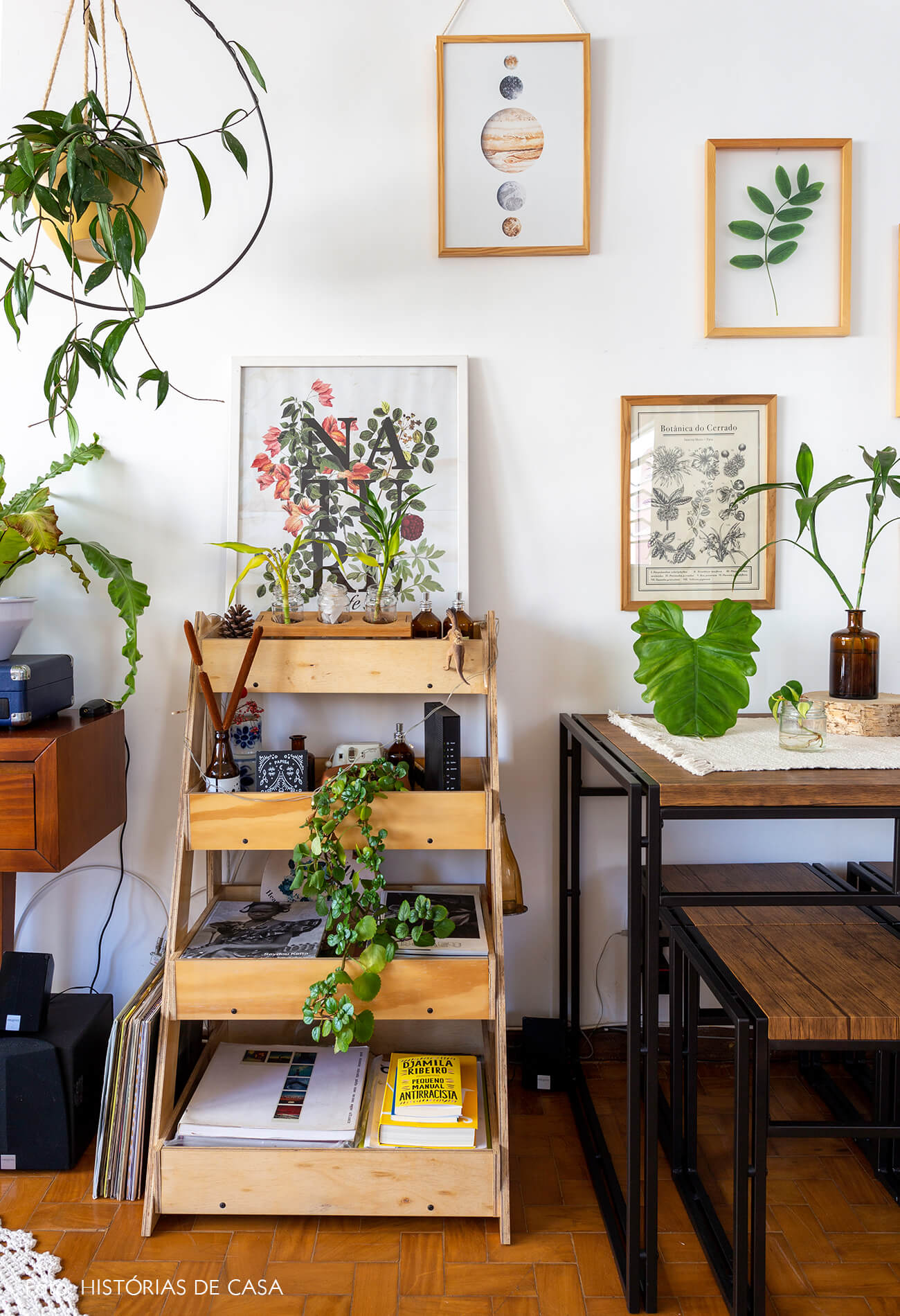 decoração sala prateleira madeira e varias plantas