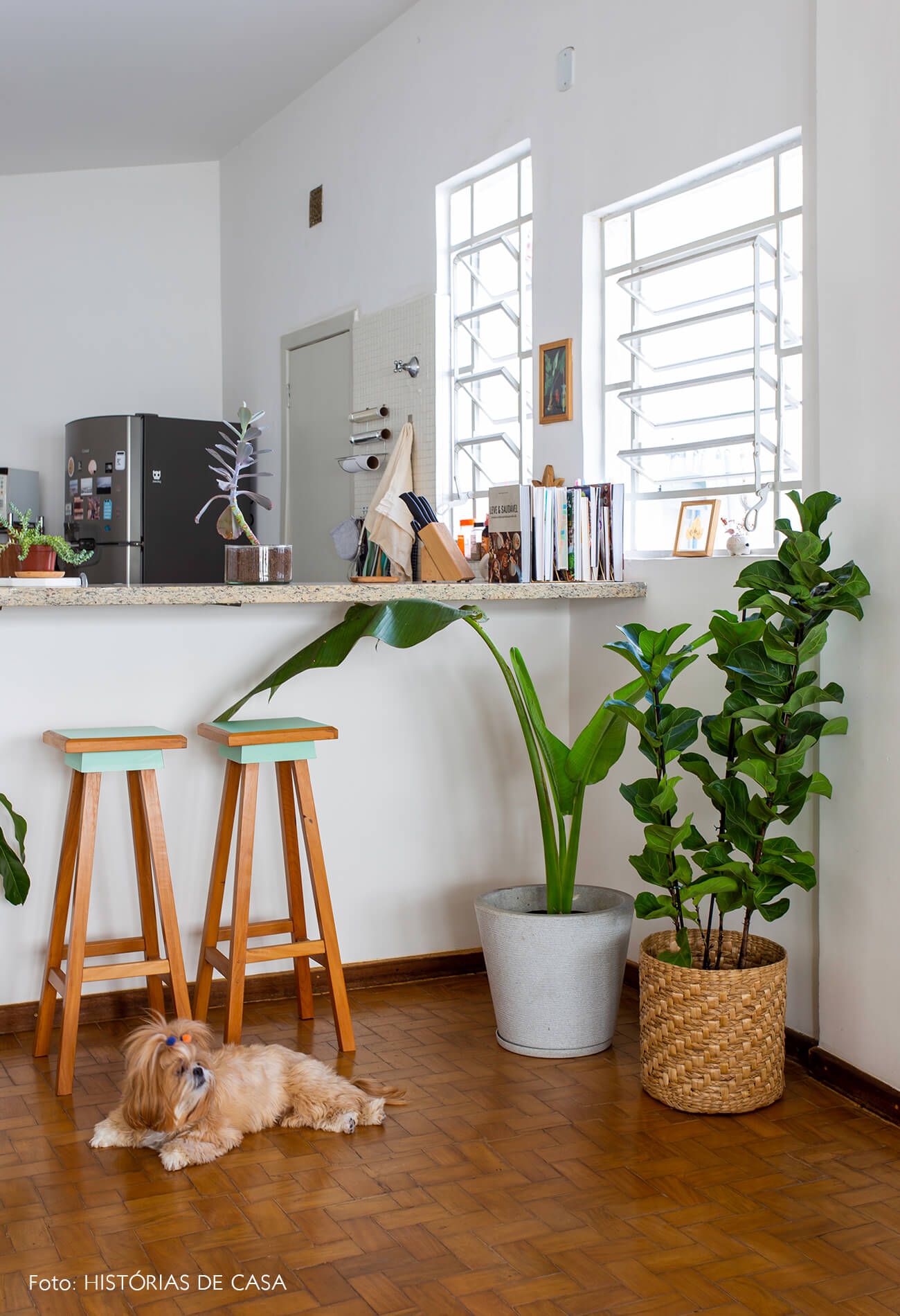 decoração sala cozinha integrados cesto planta ficus