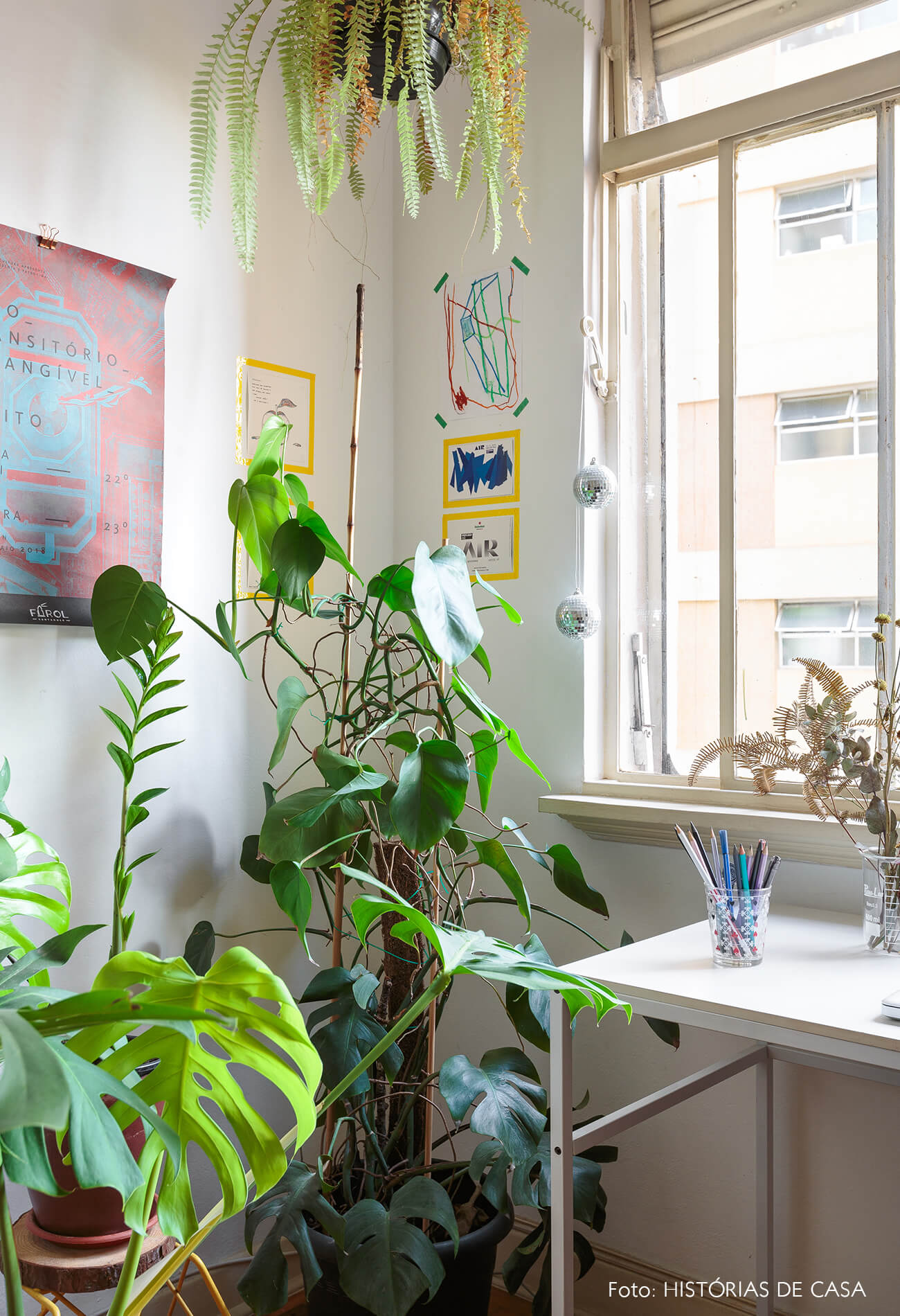 decoração escritório varias plantas