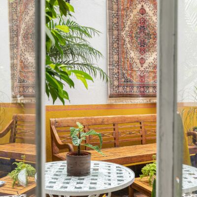 Jardim com paredes coloridas e muitas plantas