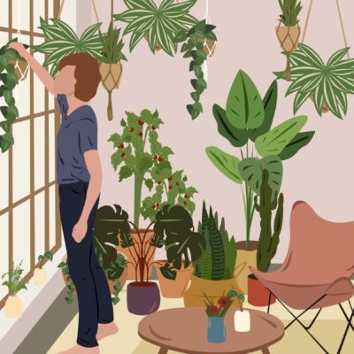Dicas de plantas com a Carol Costa, no Histórias de Casa