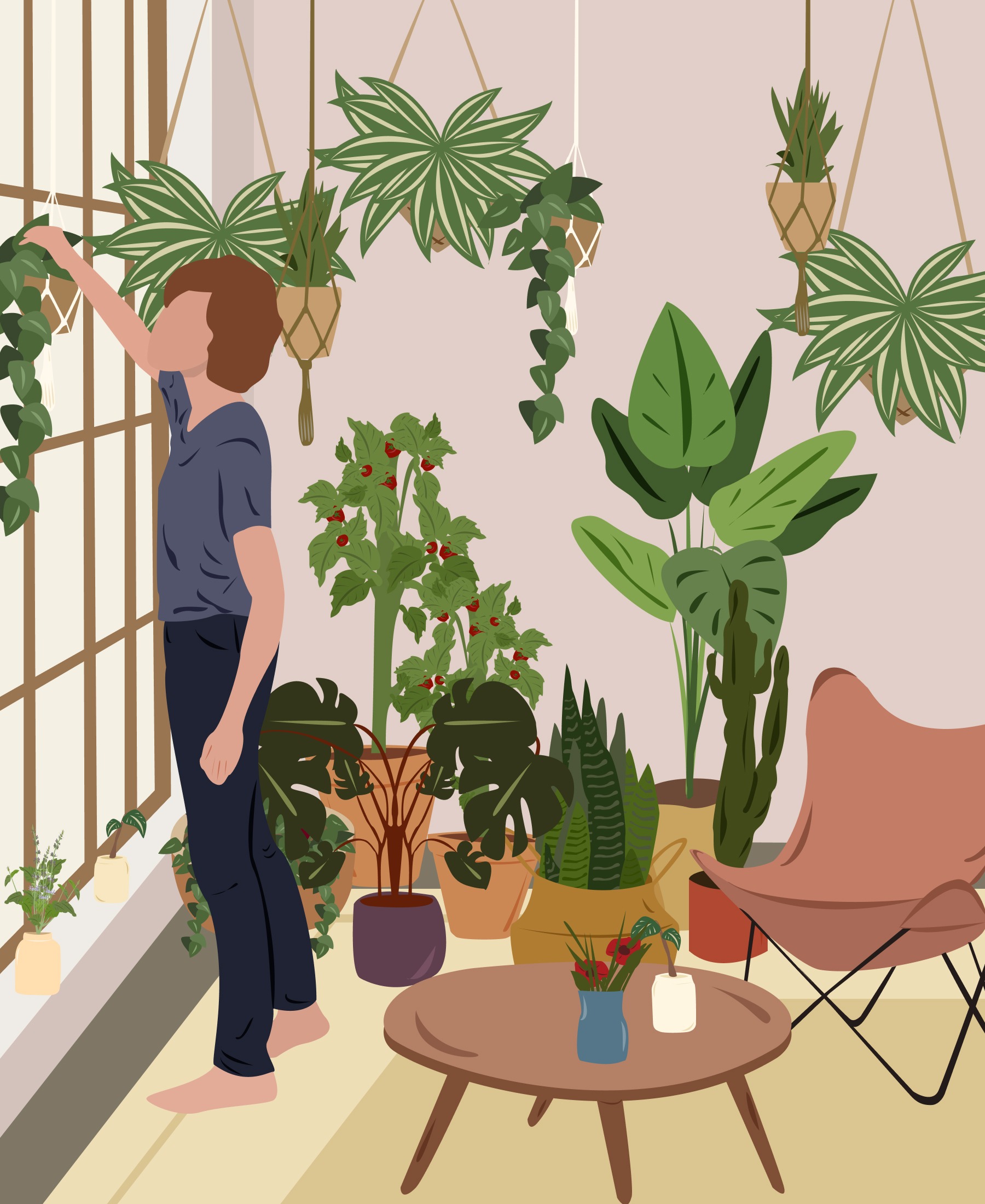 Dicas de plantas com a Carol Costa, no Histórias de Casa