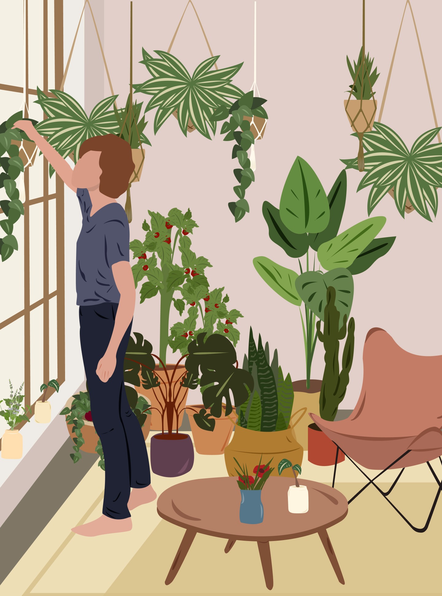 Dicas de plantas com a Carol Costa, no Histórias de Casa