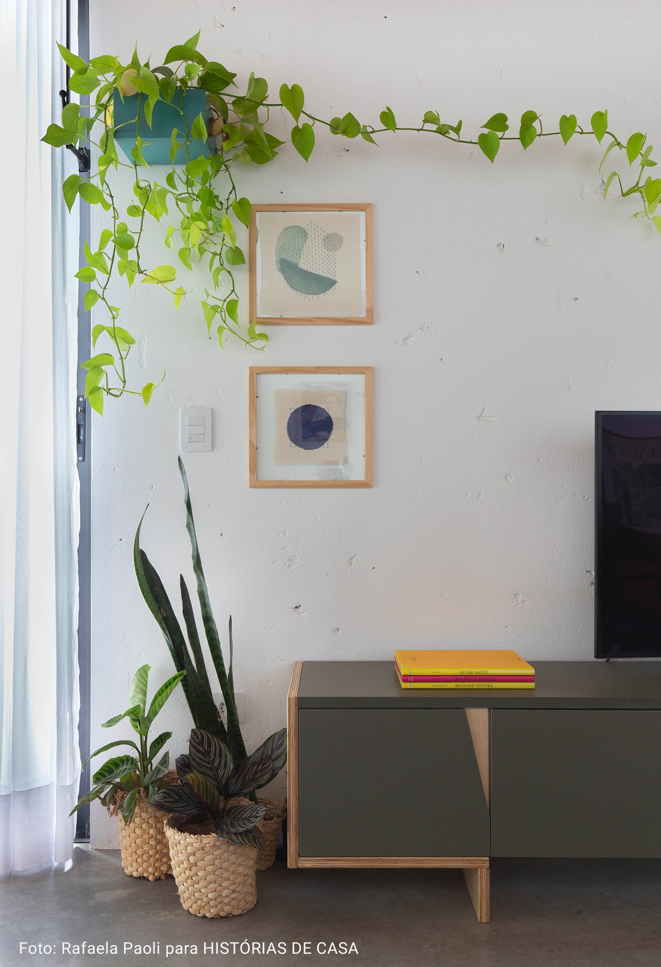 sala de televisão com plantas em cachepot de palha